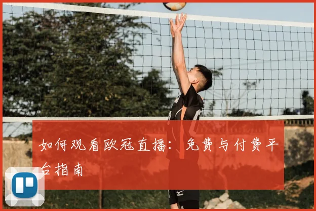 如何观看欧冠直播：免费与付费平台指南