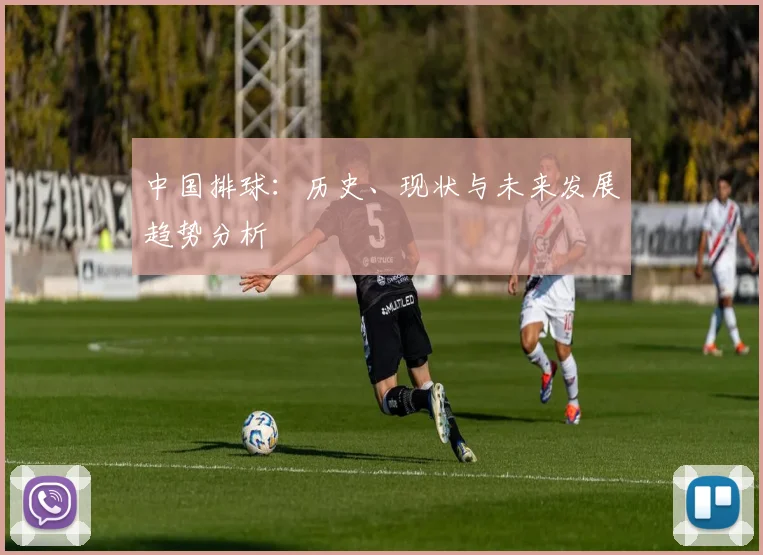 中国排球：历史、现状与未来发展趋势分析