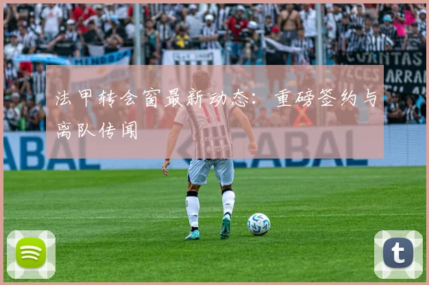 法甲转会窗最新动态：重磅签约与离队传闻