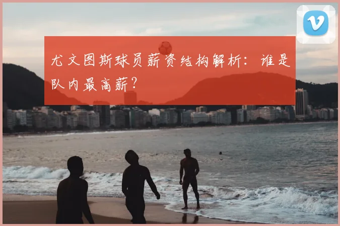 尤文图斯球员薪资结构解析：谁是队内最高薪？